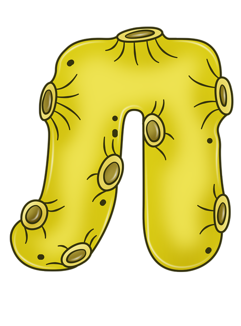 0-6f3d1-68c0c53f-XXL