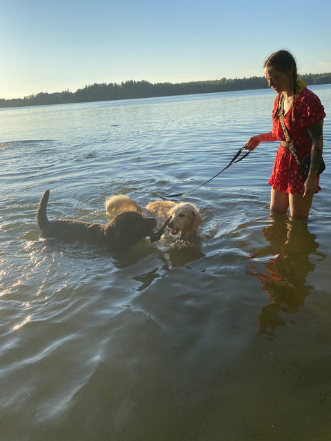 29-B98-B16-513-A-49-FC-9-FE2-A5509-ACB16