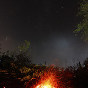 1c00426m