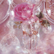 10.gif