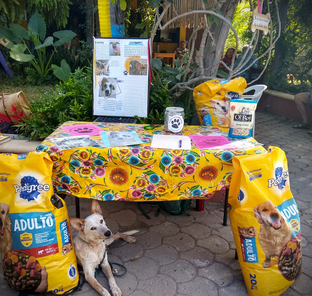 Food-Drive-January-12