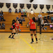 IMG-0252