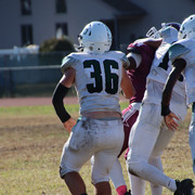 IMG-4659