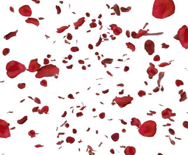 petalos.png