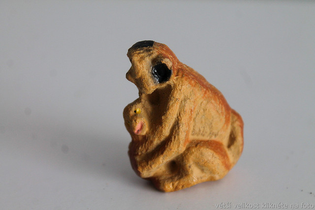 IMG-6689.jpg
