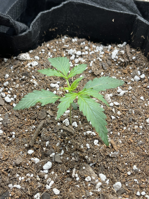 IMG-2091.jpg