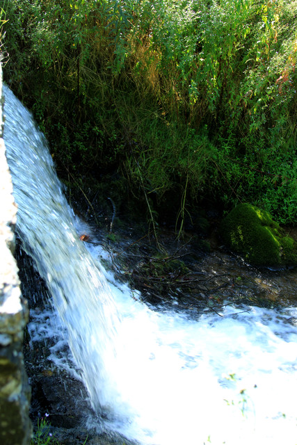 IMG-1710
