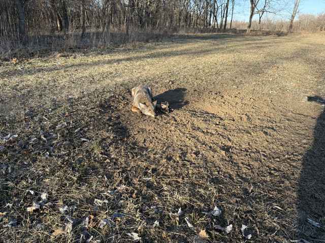 IMG 0479