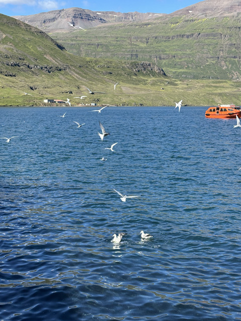 IMG-6597