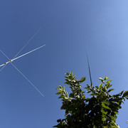 IMG 7587