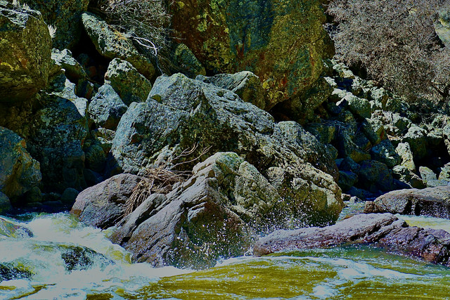 DSC01263