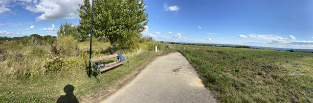 IMG-2516.jpg