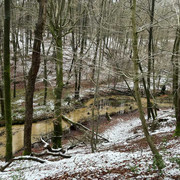 comp-IMG-6634