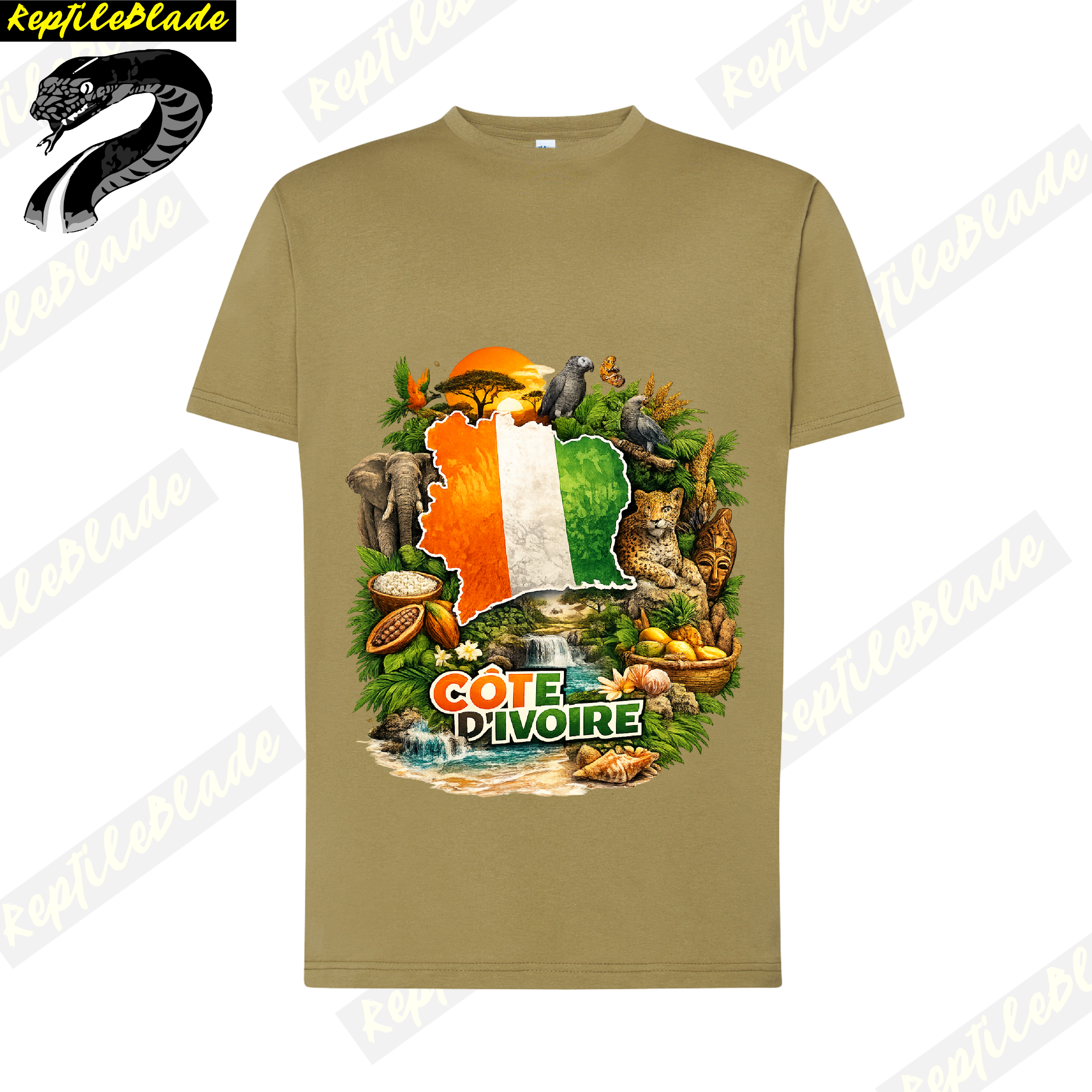 Côte d'ivoire