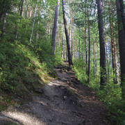 IMG 0308