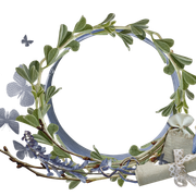 cluster-frame-214