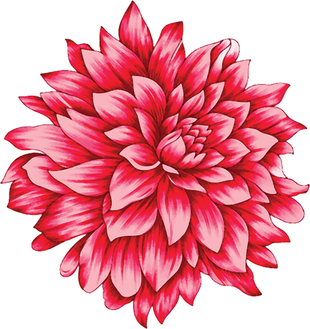 Layer 16 (7).png