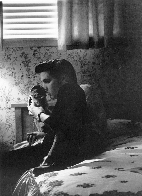 elvis in room audubon