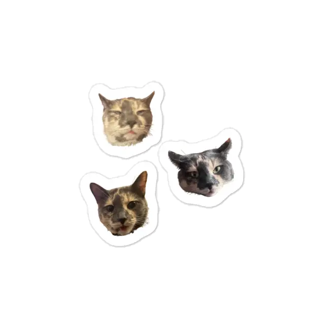 Kitty Face Stickers