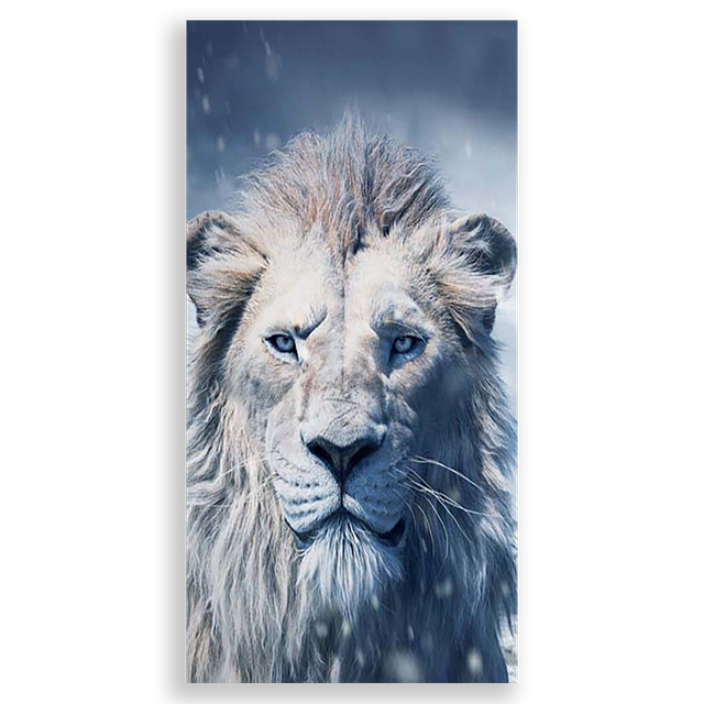31001262-Mufasa