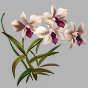 shutterstock 1804163548