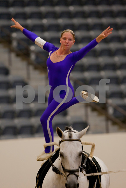 EQUINE VOLTIS76f