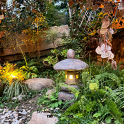 猫猫寺8