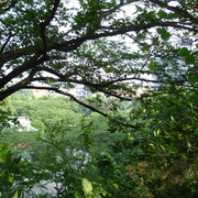 2010-07-07-033-131