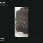 bagbois growth small.gif