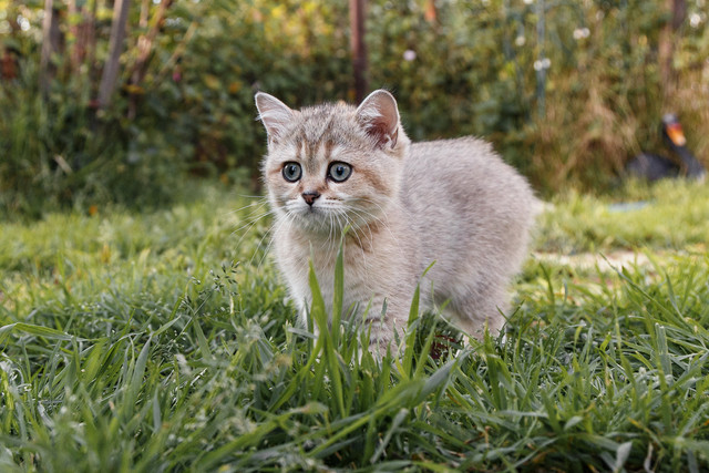 F03A7749.jpg