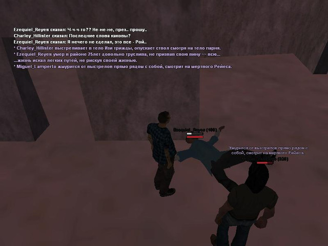 gallery338.jpg
