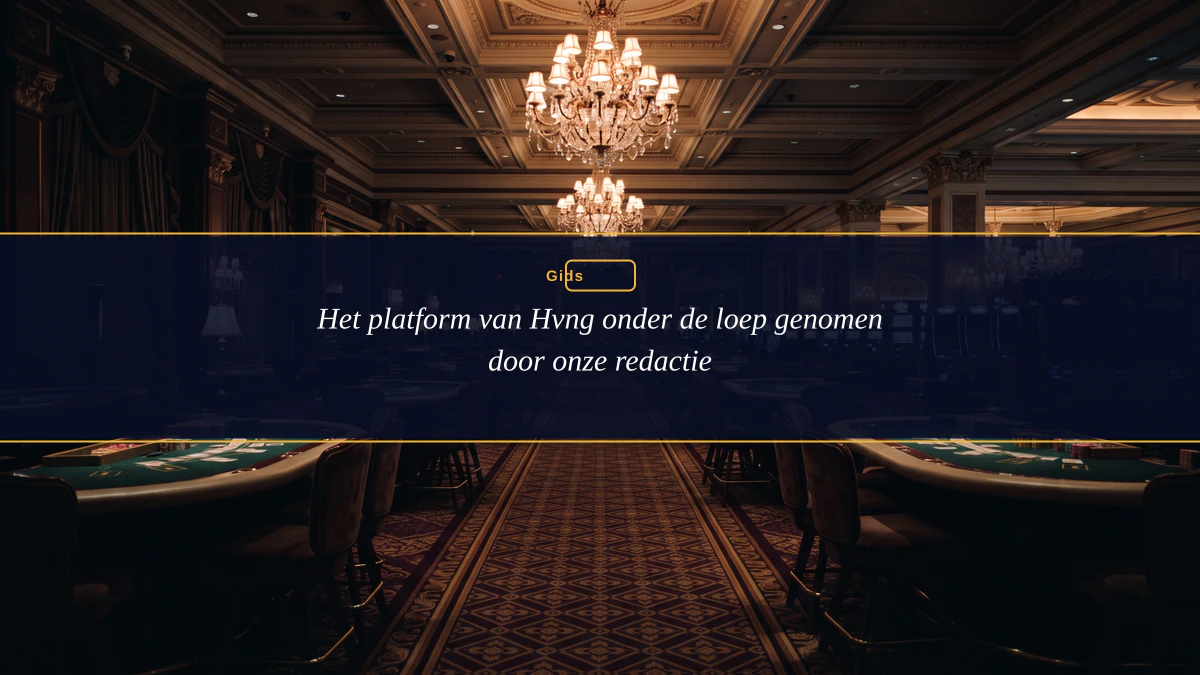 Het platform van Hvng onder de loep genomen door onze redactie