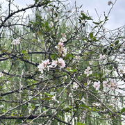 西湖2