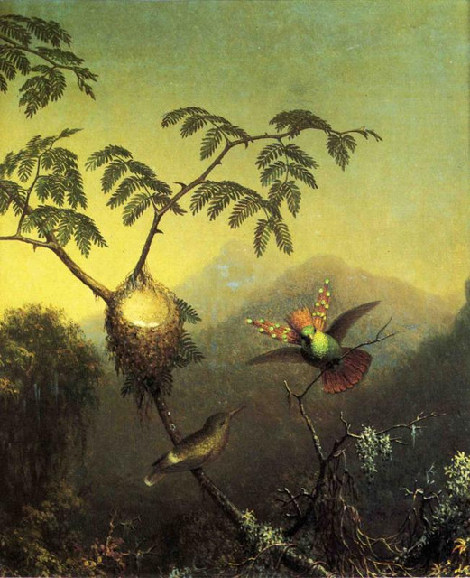 Two-Hummingbirds-Tufted-Coquettes.jpg