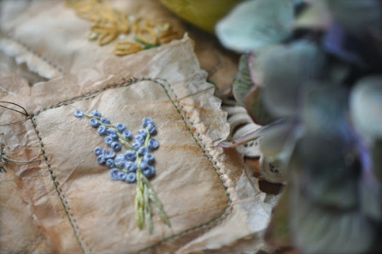 tumblr-064342708695be0b517723b6d11f3b6b-e1a8cabb-540