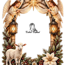 Image14