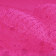 pink heart