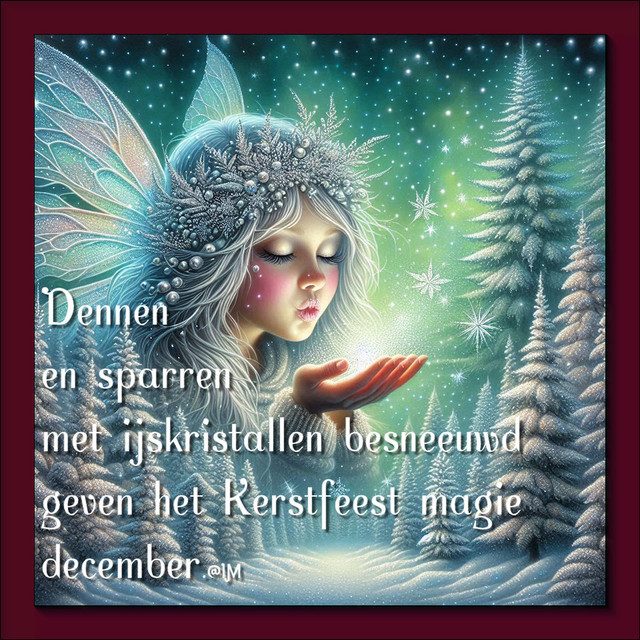December elfjes (9)