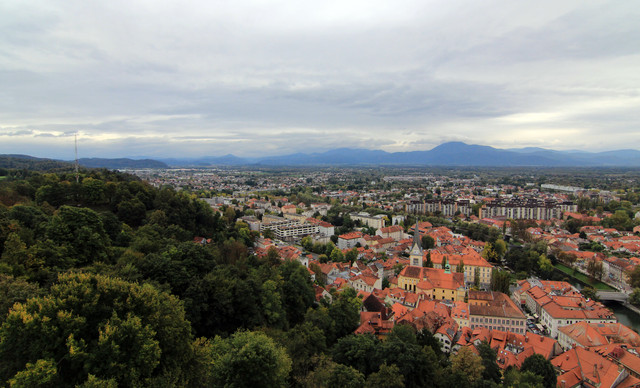 IMG-9981.jpg