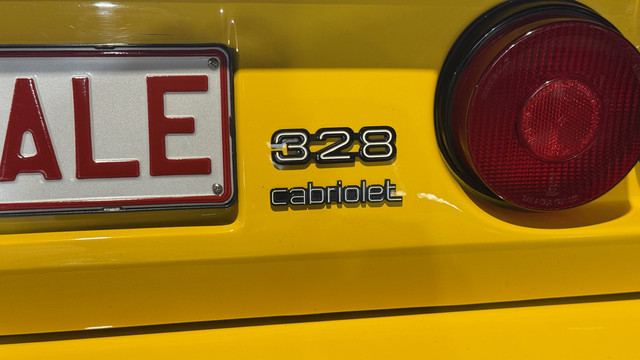 https://i.ibb.co/fGZfkBZt/Drive-City-16.jpg