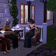 Screenshot 29