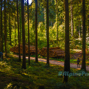 20231011-Alpine-Pixels-83
