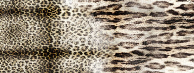 leopard-pattern-print-texture-background-anima-4.jpg