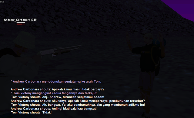 ss12.png