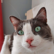 https://i.ibb.co/fH0gPDk/20201214-130225-2.jpg