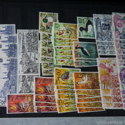 IMG-7005