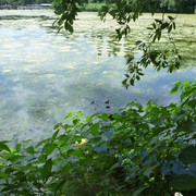 P1330453