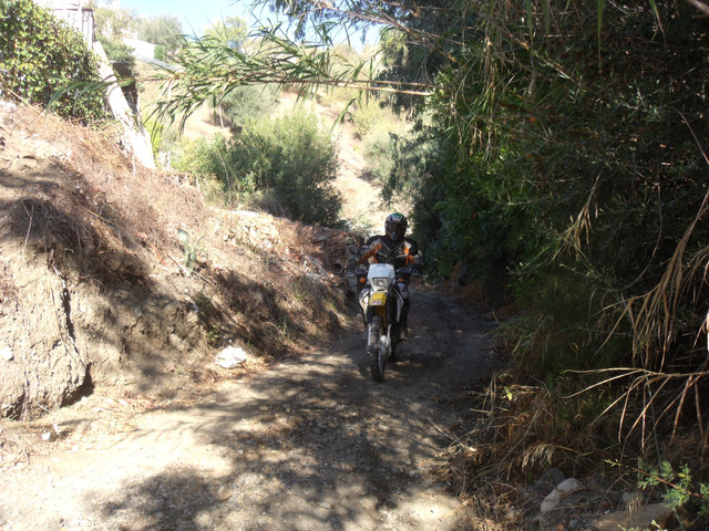 DSCF9253.jpg