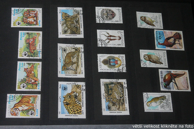 IMG-2256.jpg