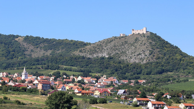 IMG-4524